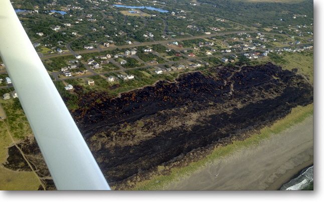 Ocean Shores Dune Fire